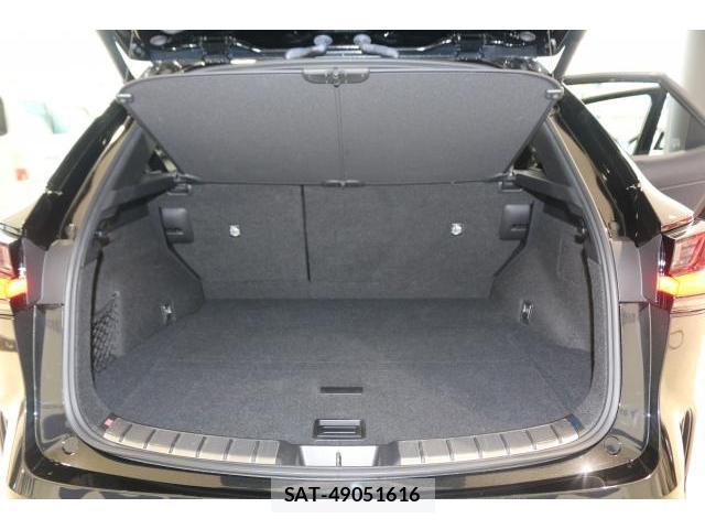 Lexus NX 2023-07 8817302-18