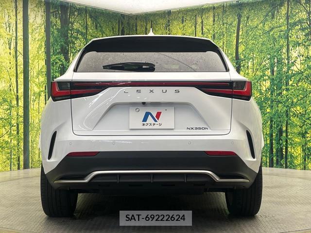 Lexus NX 2023-10 8817514-14
