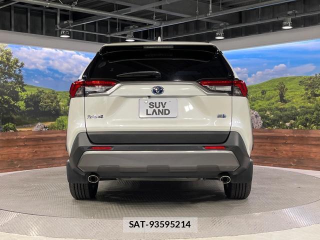 Toyota RAV4 2019-09 8812962-15