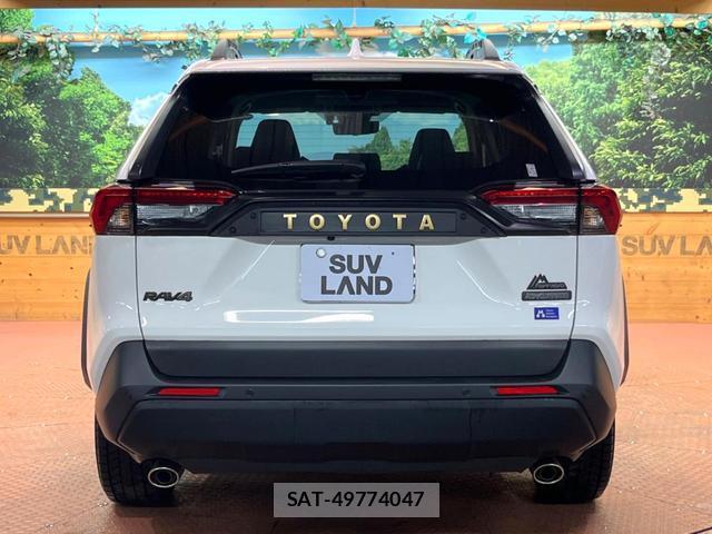 Toyota RAV4 2024-03 8813154-16