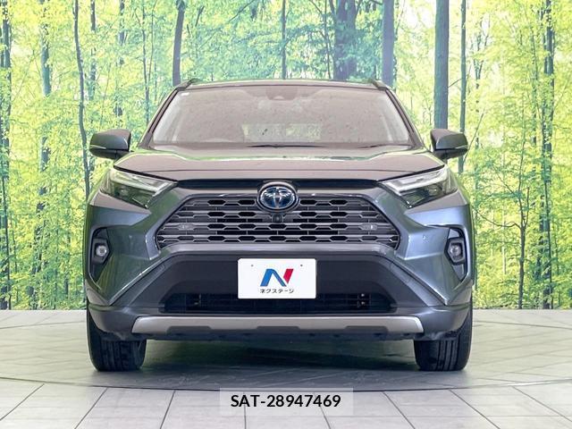 Toyota RAV4 2021-12 8814595-14