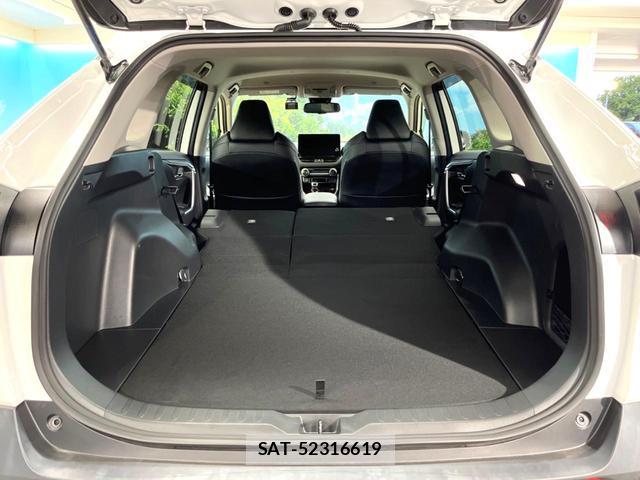 Toyota RAV4 2023-10 8815074-9