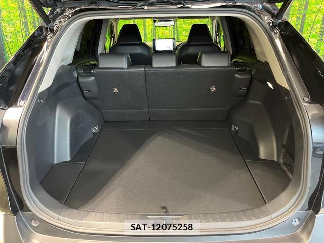 Toyota RAV4 2023-01 8815790-10