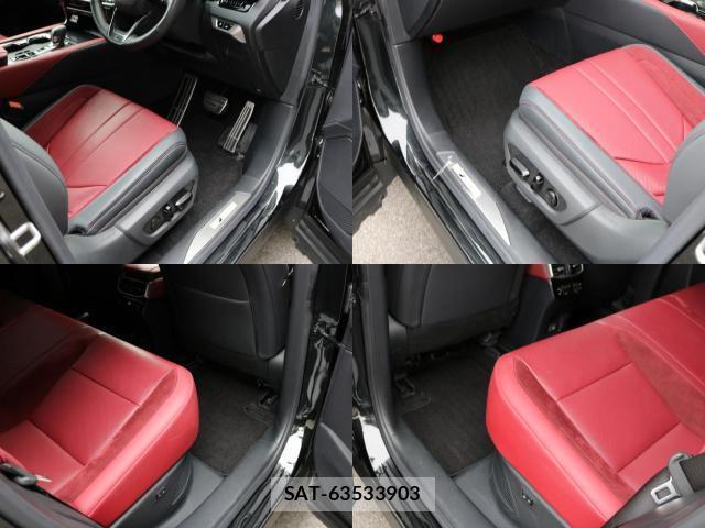 Lexus RX 2024-08 8812490-10