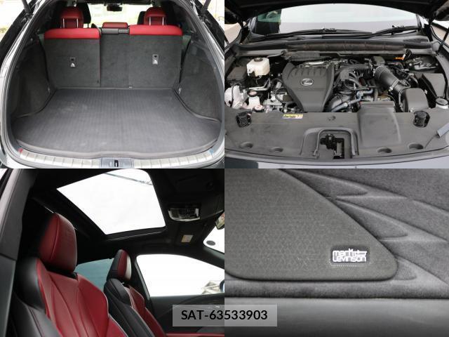 Lexus RX 2024-08 8812490-6