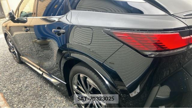 Lexus RX 2024-08 8815493-10