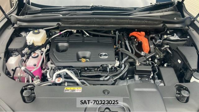 Lexus RX 2024-08 8815493-7