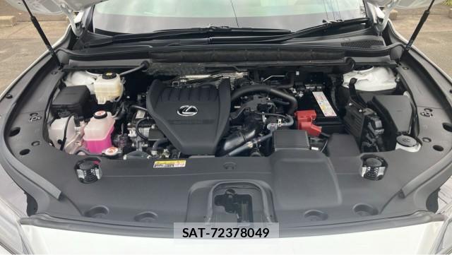Lexus RX 2025-08 8815534-7