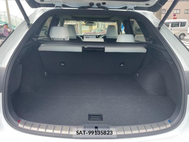 Lexus RX 2025-10 8815719-17