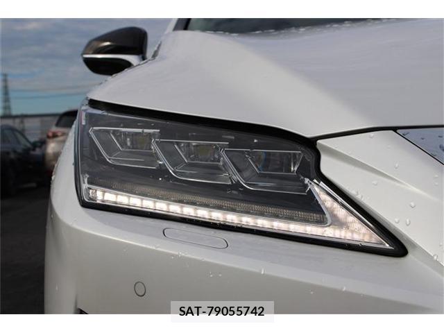 Lexus RX 2018-11 8815775-17