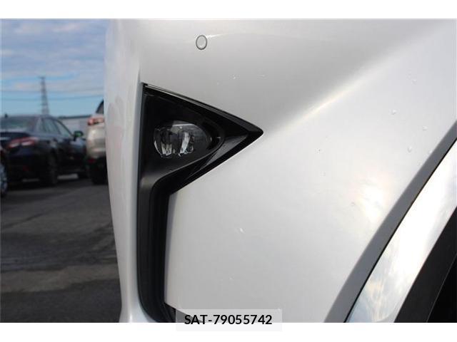 Lexus RX 2018-11 8815775-18