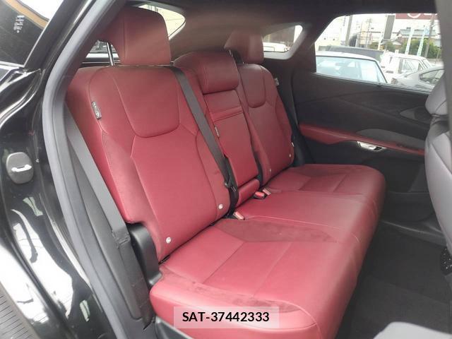 Lexus RX 2023-07 8817636-10