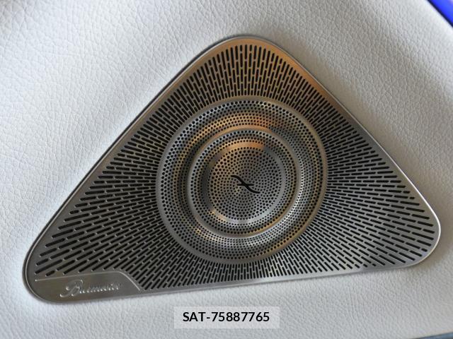 Mercedes Benz S-CLASS 2023-02 8813908-15