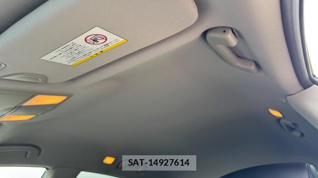 Nissan SKYLINE CROSSOVER 2010-10 8815467-15