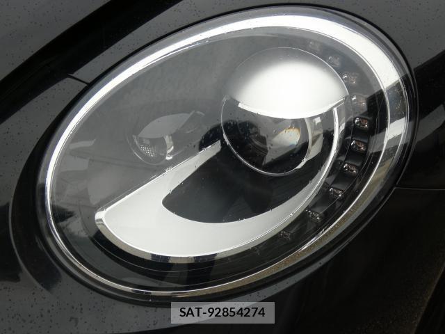 VolksWagen THE BEETLE 2014 8816250-18