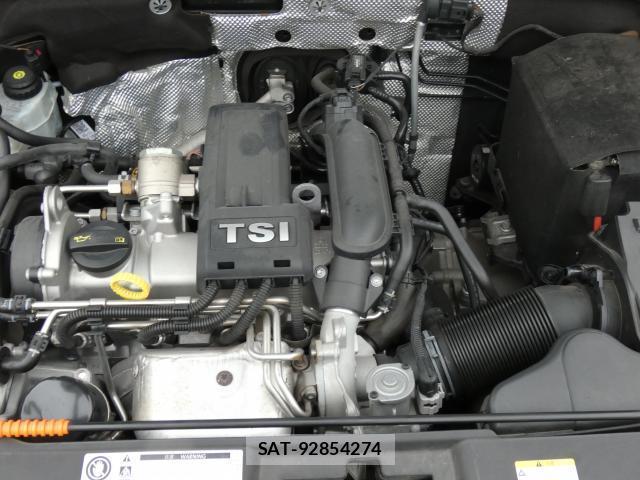 VolksWagen THE BEETLE 2014 8816250-9
