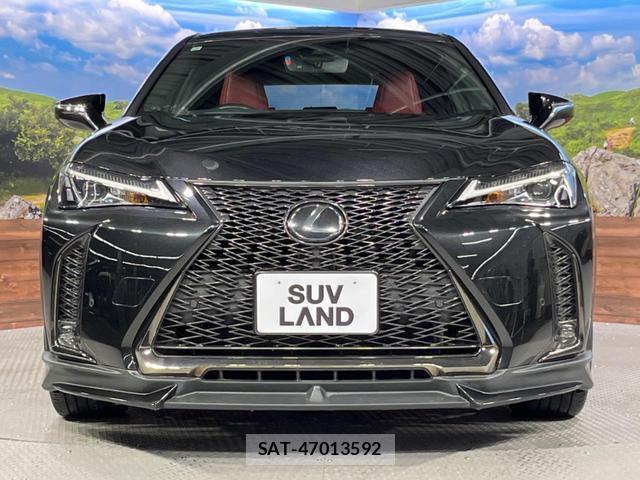 Lexus UX 2019-10 8812954-14