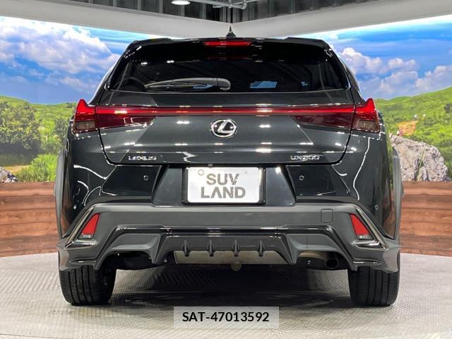 Lexus UX 2019-10 8812954-15