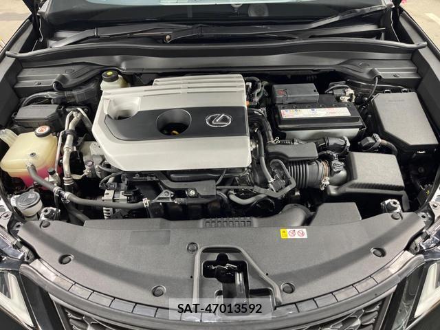 Lexus UX 2019-10 8812954-17