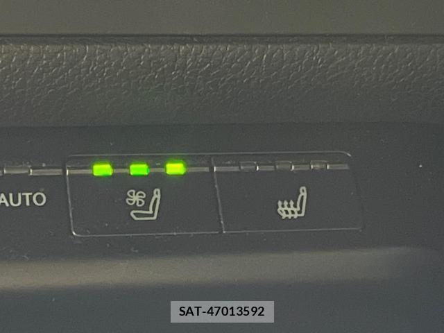 Lexus UX 2019-10 8812954-5