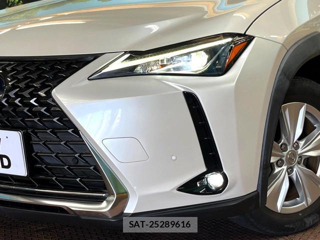 Lexus UX 2020-12 8814149-12