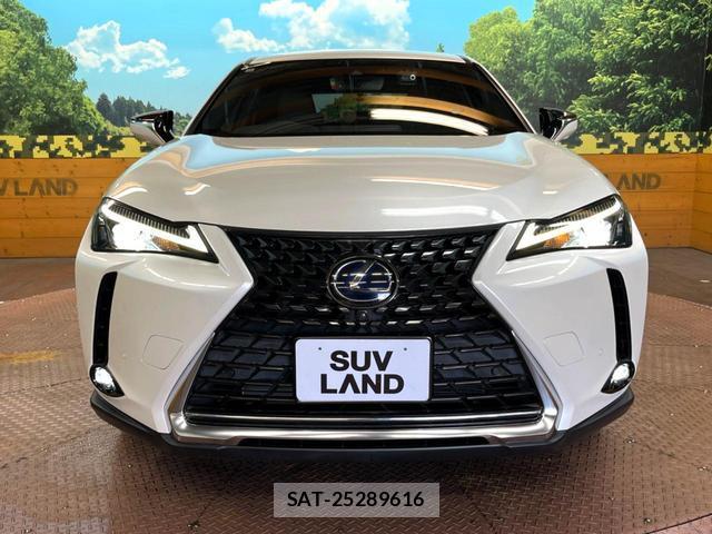 Lexus UX 2020-12 8814149-13