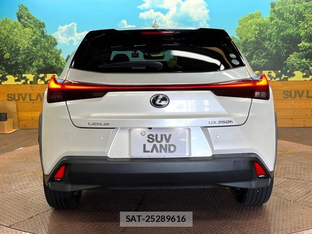 Lexus UX 2020-12 8814149-14