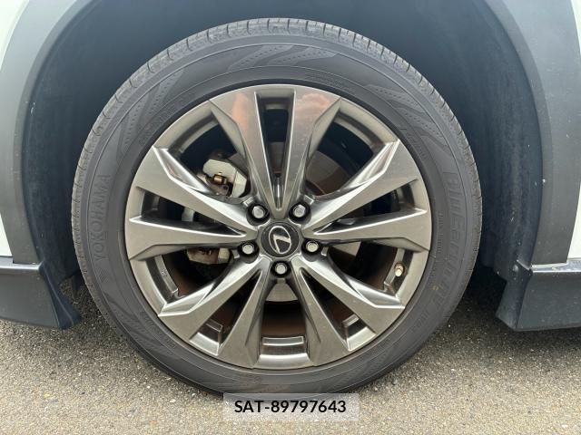 Lexus UX 2019-02 8814663-7