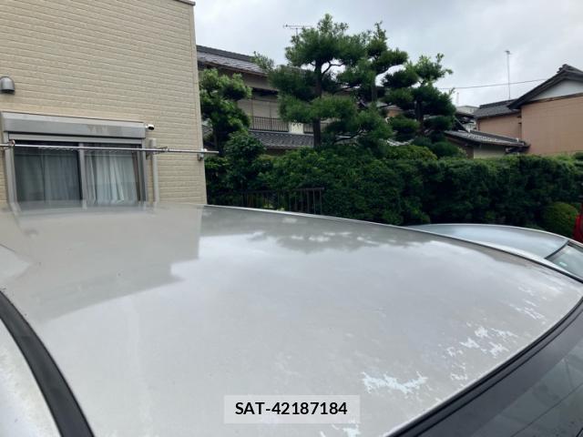 Toyota VOXY 2009-03 8813258-7