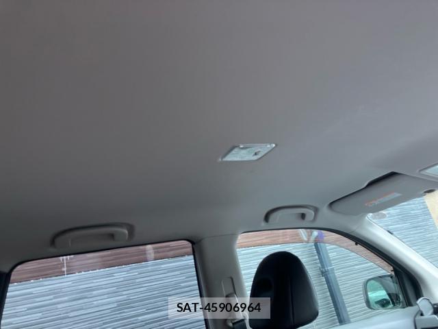 Nissan X-TRAIL 2008-03 8813925-6