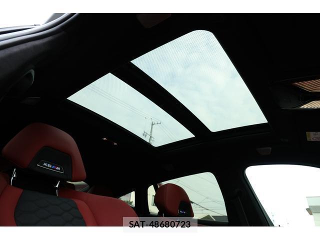 Bmw X6 2024-05 8817676-10