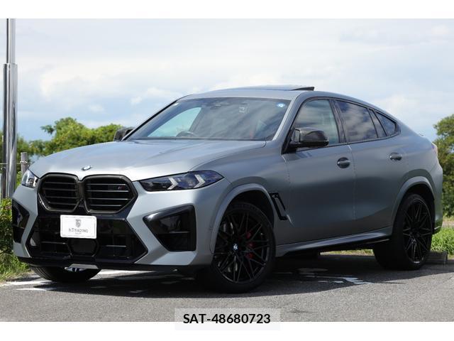 Bmw X6 2024-05 8817676-4