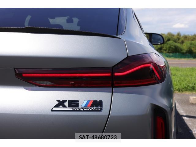 Bmw X6 2024-05 8817676-7