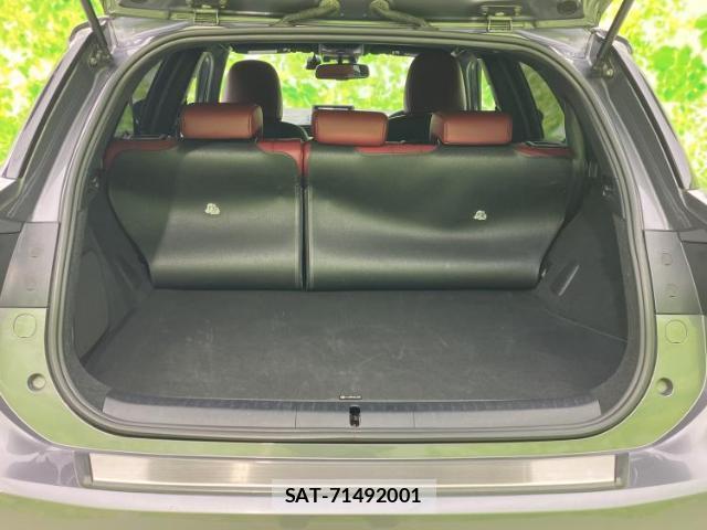 Lexus CT 2014-09 8856880-7