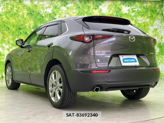 Mazda CX-30 2021-06 8853825-2