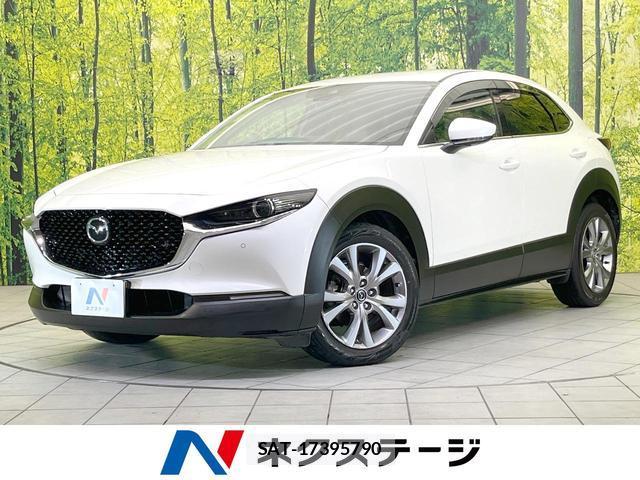 Mazda CX-30 2019-10 8855060-0