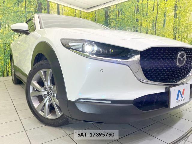 Mazda CX-30 2019-10 8855060-11