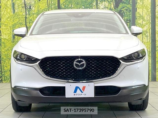 Mazda CX-30 2019-10 8855060-13