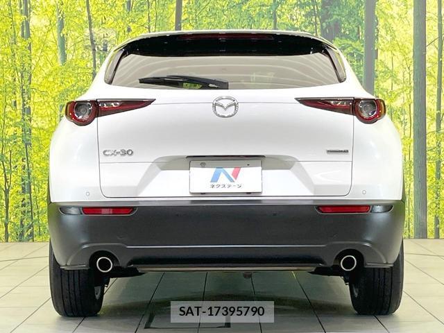 Mazda CX-30 2019-10 8855060-14