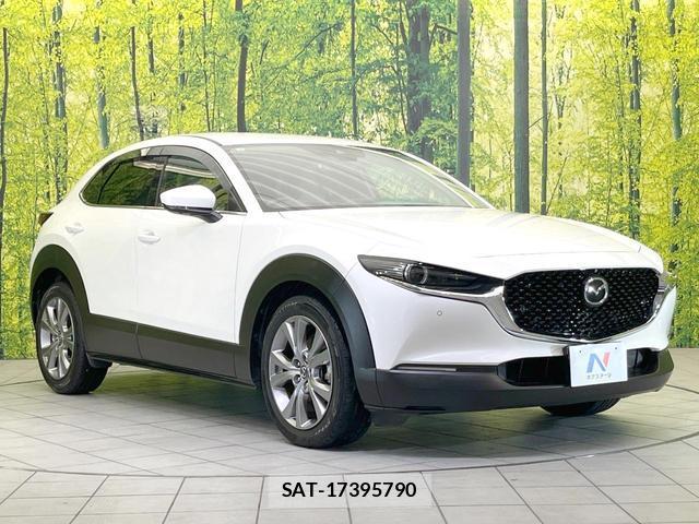 Mazda CX-30 2019-10 8855060-15