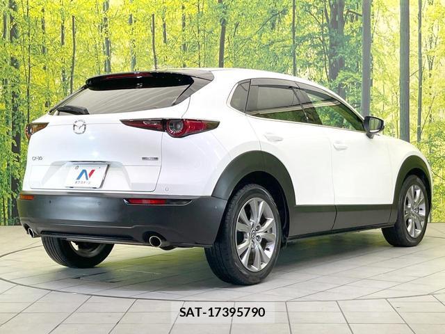 Mazda CX-30 2019-10 8855060-16