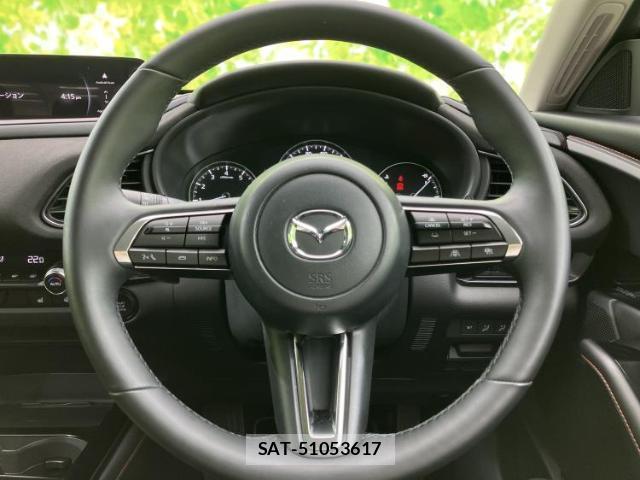 Mazda CX-30 2023-11 8856977-15