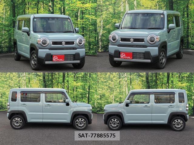 Suzuki HUSTLER 2024-09 8856819-12