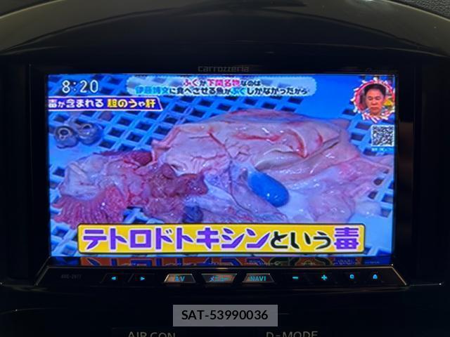 Nissan JUKE 2012-04 8855642-3