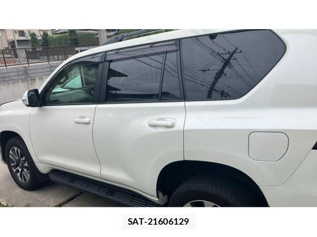 Toyota LAND CRUISER PRADO 2023-06 8854952-10