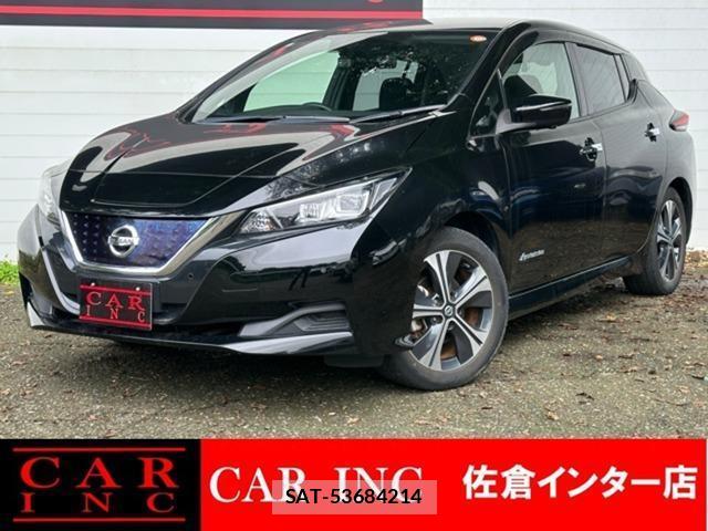 Nissan LEAF 2021-03 8855531-0