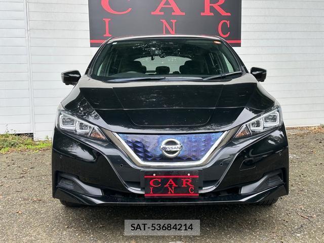 Nissan LEAF 2021-03 8855531-2