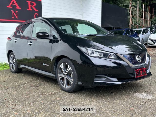 Nissan LEAF 2021-03 8855531-3