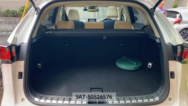 Lexus NX 2015-10 8855285-17