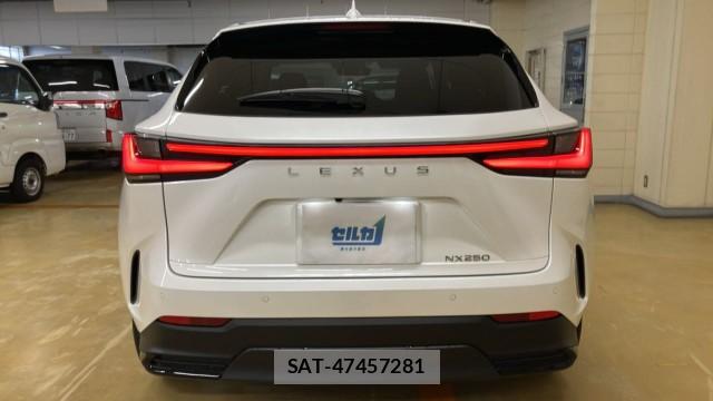 Lexus NX 2023-09 8855289-1